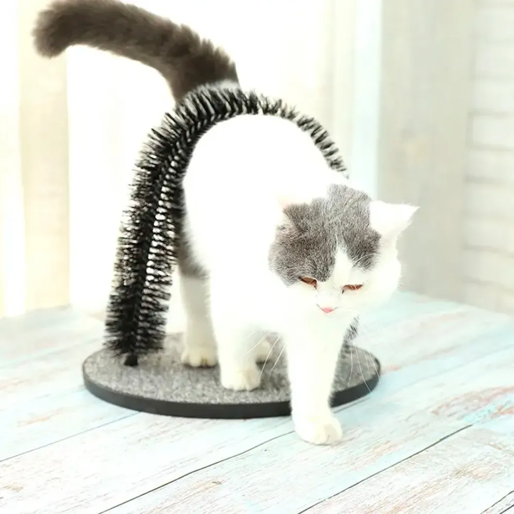 cat brush & scratchers
