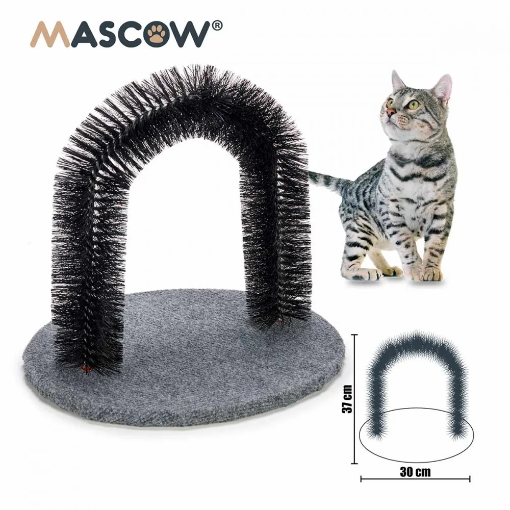 cat brush & scratchers