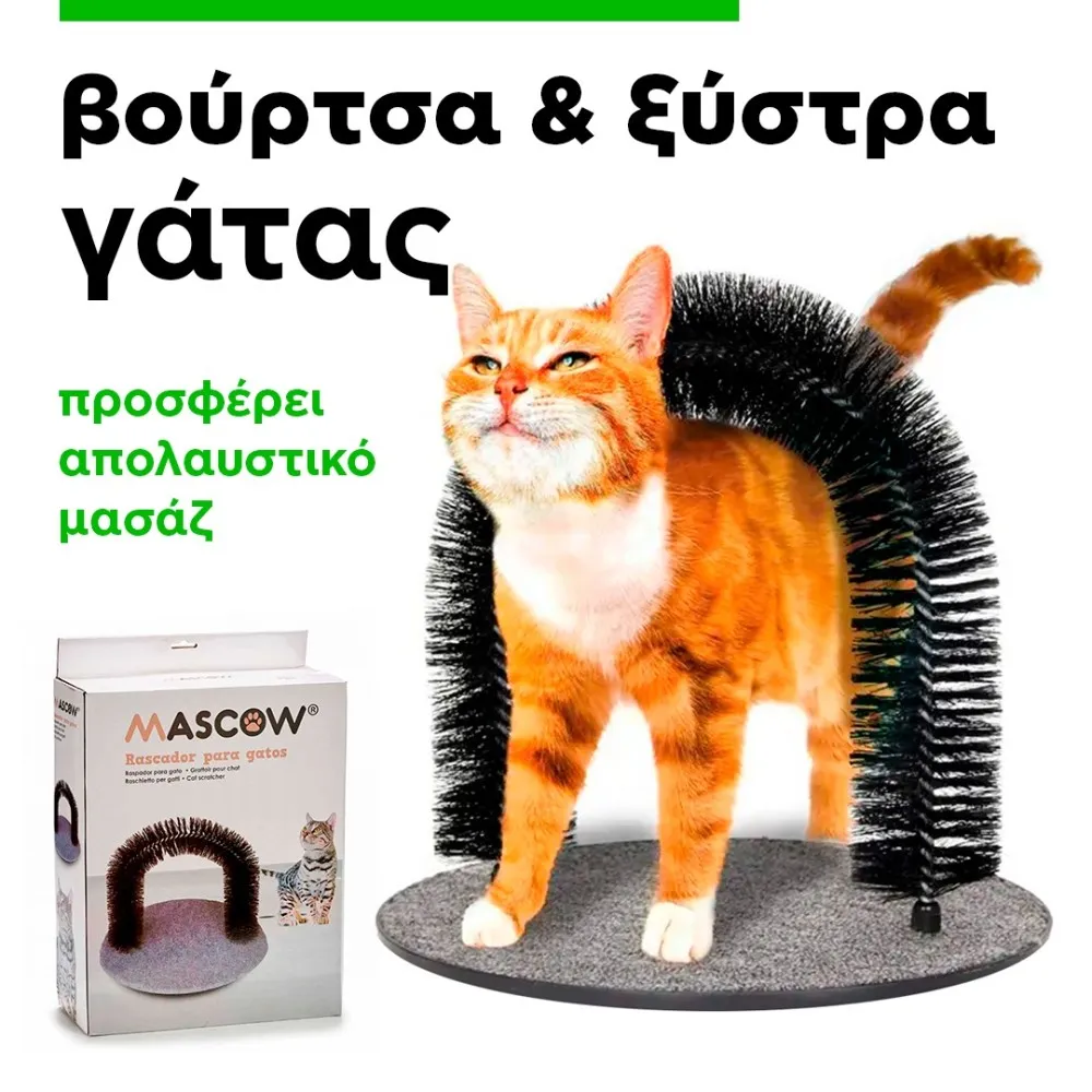 cat brush & scratchers