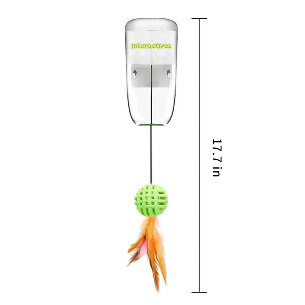 educational cat game