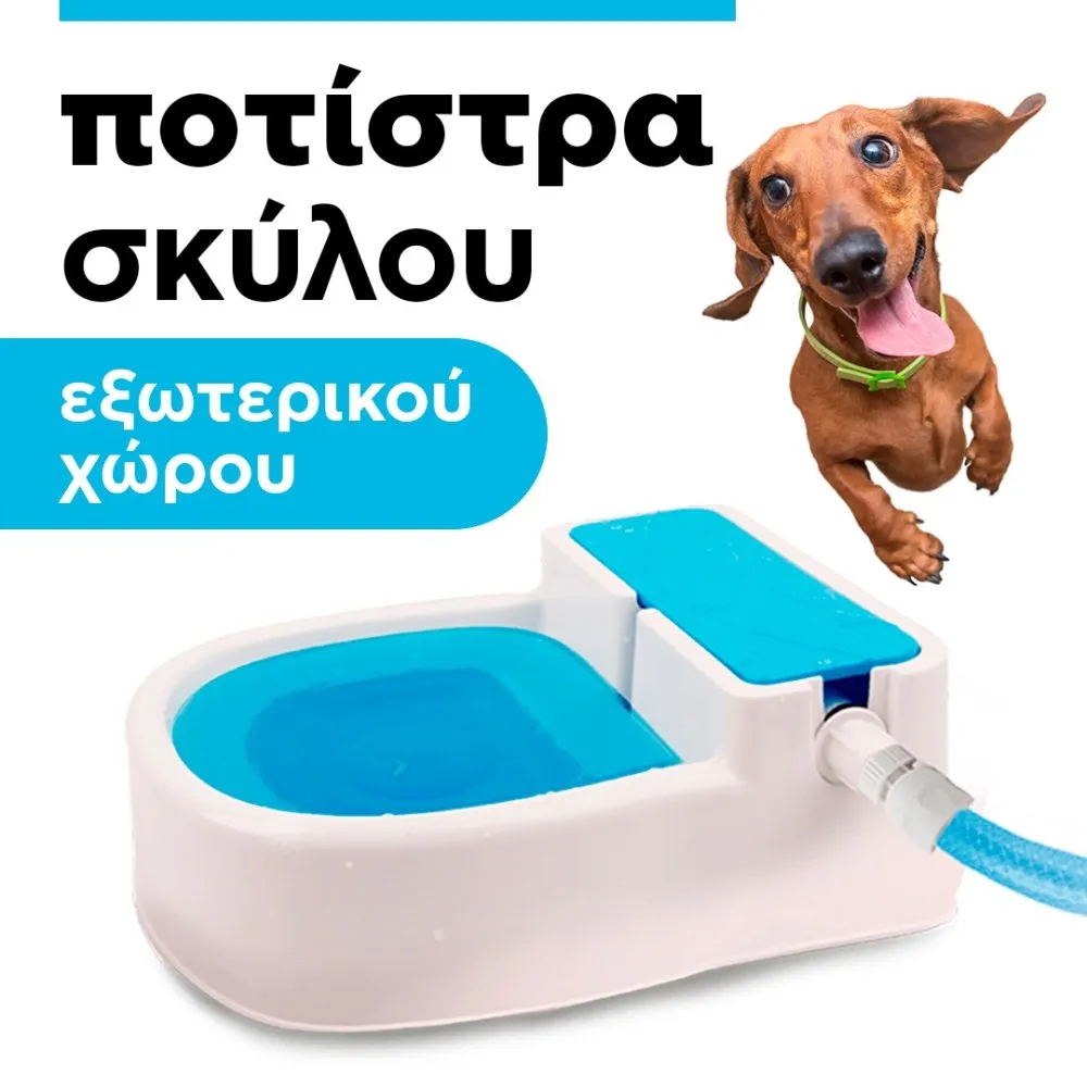dog waterer