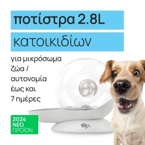 + Surprise product  + 5.90€ 