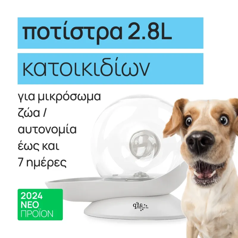 2.8L pet watering trough