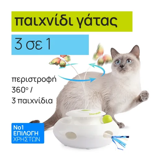 cat game 3 in 1