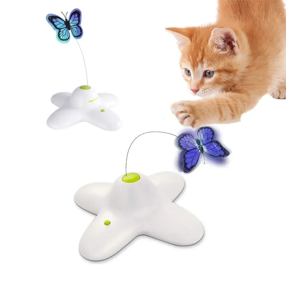 Butterfly Cat game