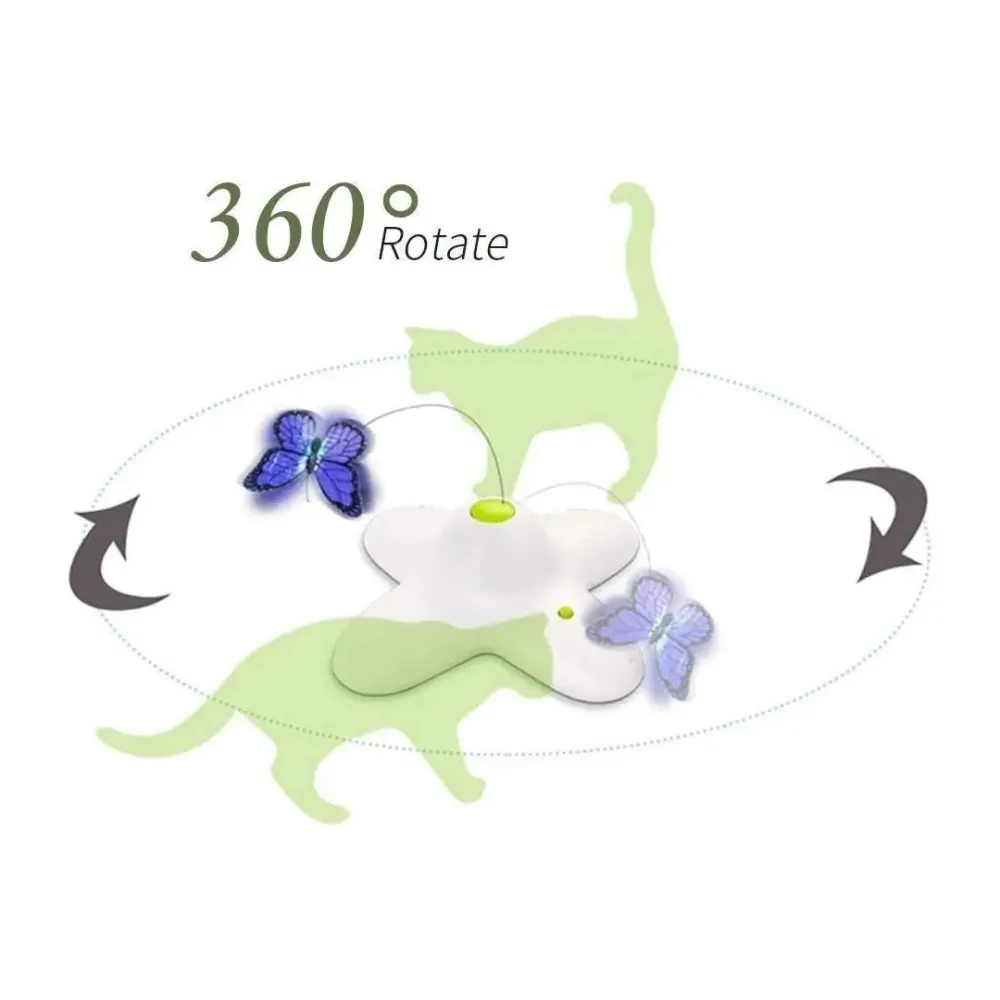 Butterfly Cat game