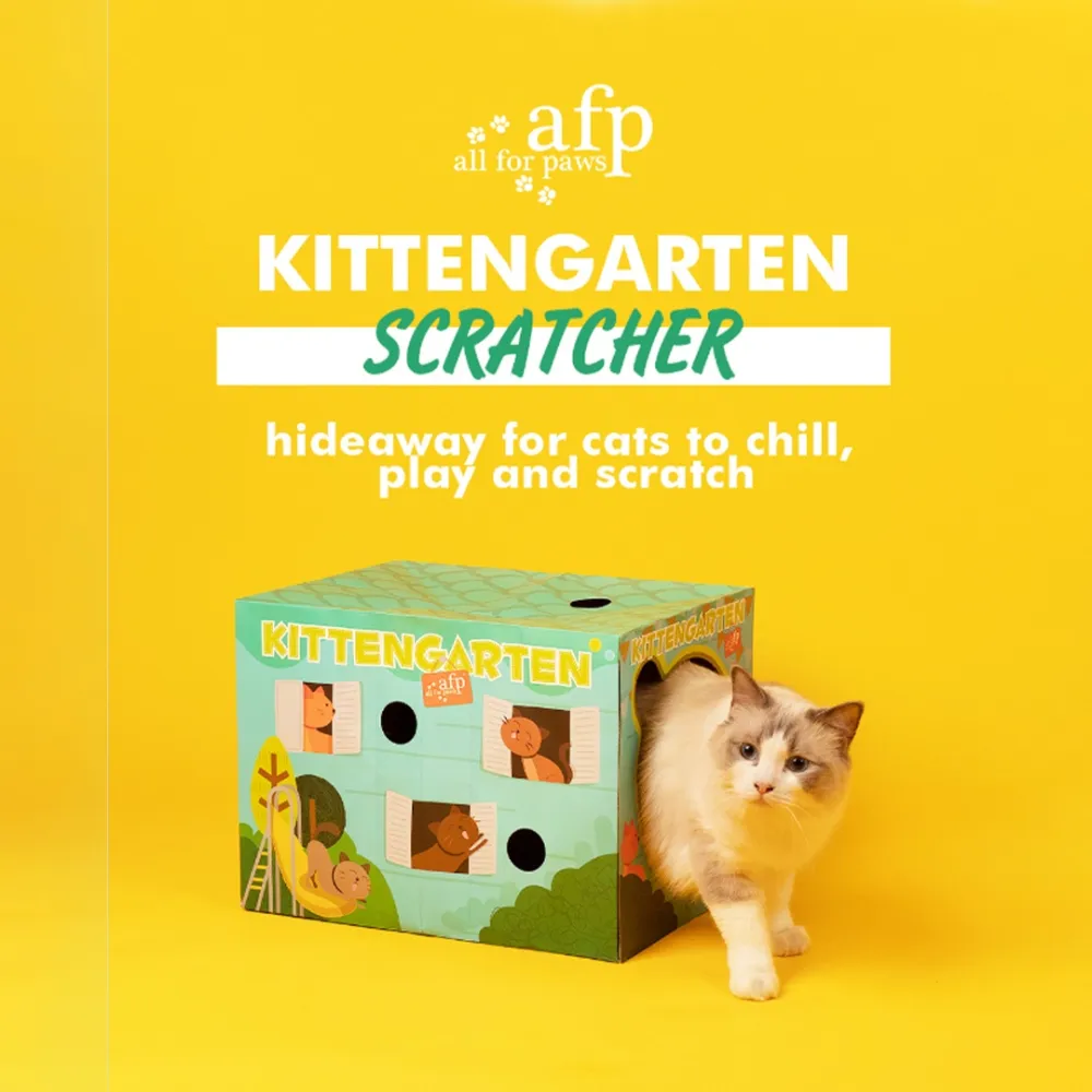 cat house and scratcher
