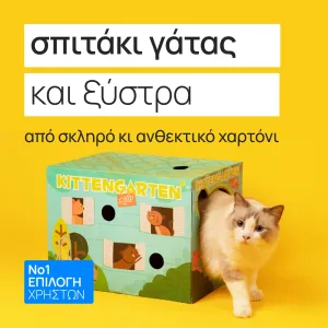 + Surprise product  + 5.90€ 