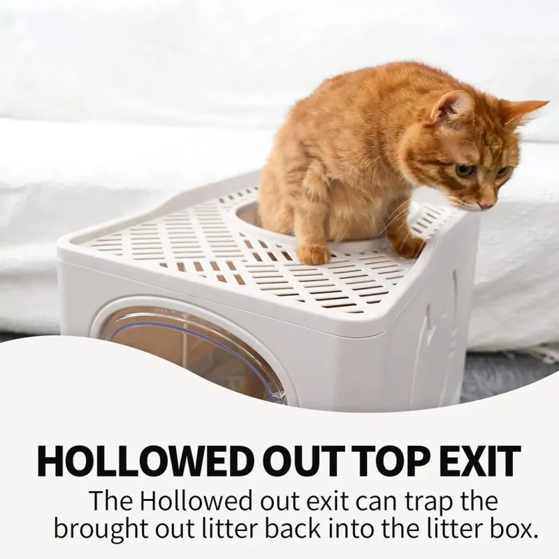 folding cat litter box