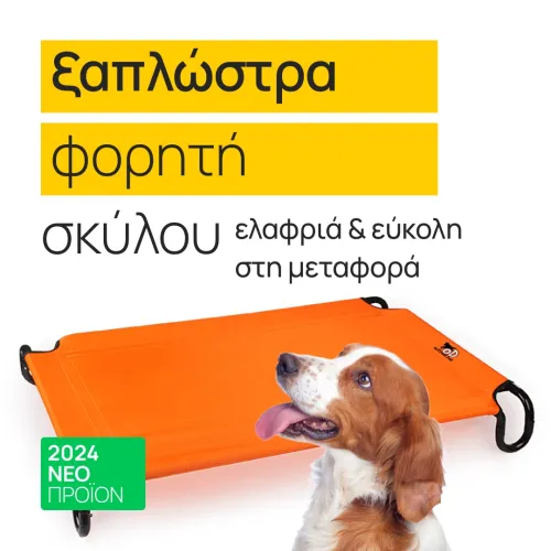 portable dog lounger