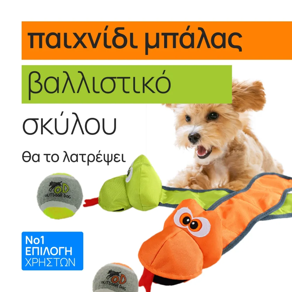 Ball Ballistic Dog Ball game