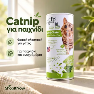 catnip attractive for cats