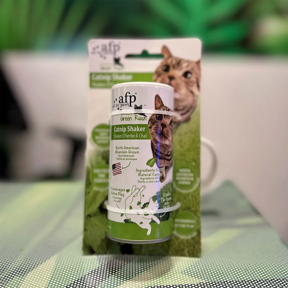 catnip attractive for cats