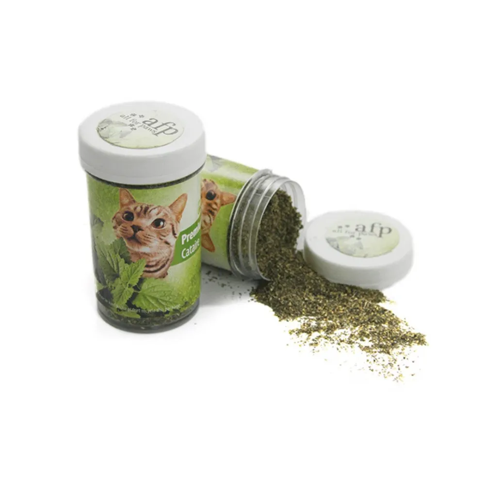 catnip attractive for cats
