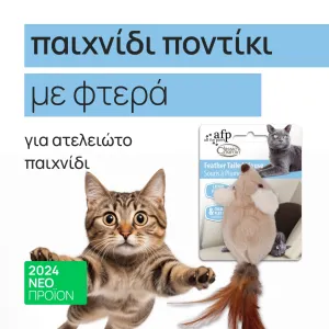 + Surprise product  + 5.90€ 