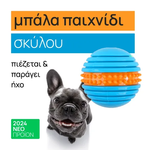 Play ball for dog