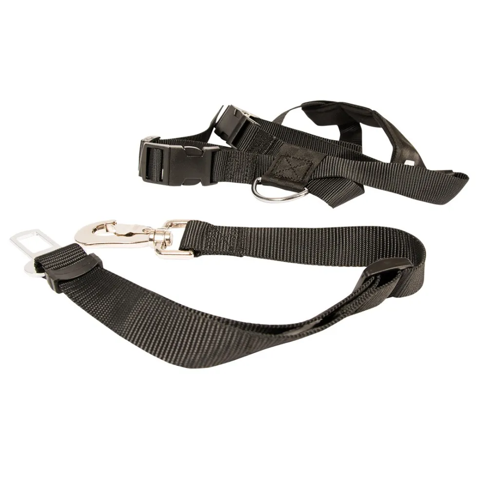 safety dog leash