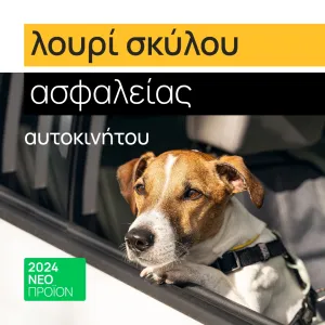 + Surprise product  + 5.90€ 