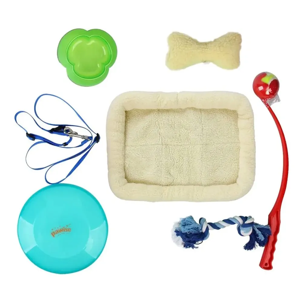 dog set - toys and accessories
