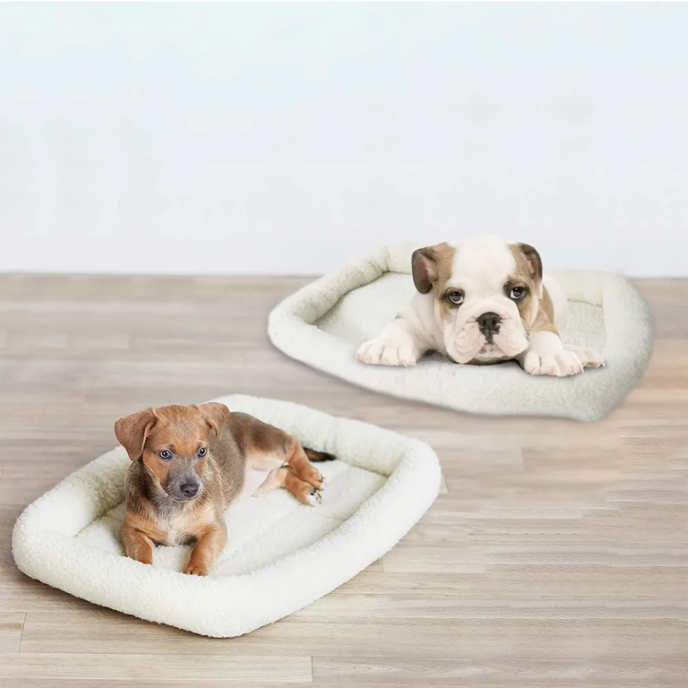 dog set - toys and accessories