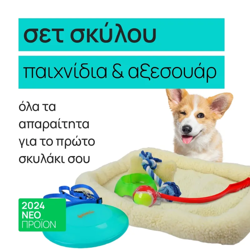 dog set - toys and accessories