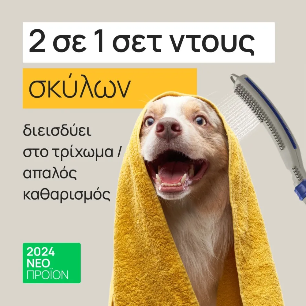 2 in 1 shower for dog