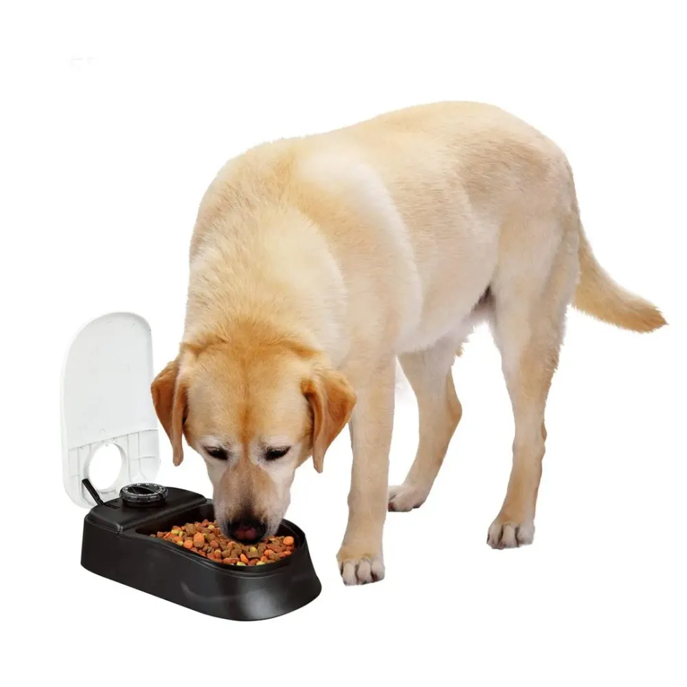 Automatic feeder with lid