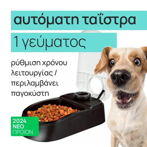 Automatic feeder with lid