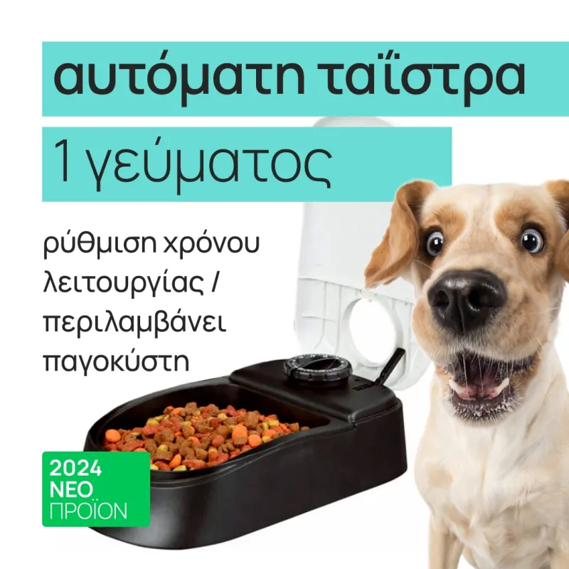 Automatic feeder with lid