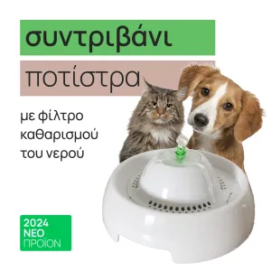 + Surprise product  + 5.90€ 