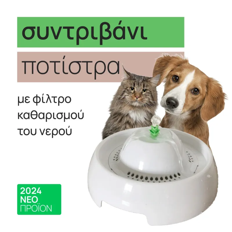 fountain watering trough