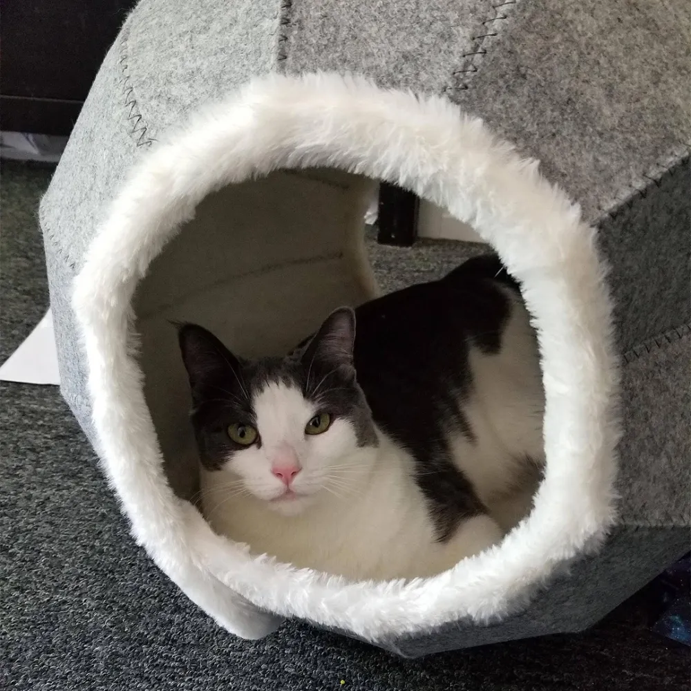 Bed / resting pillow for cats