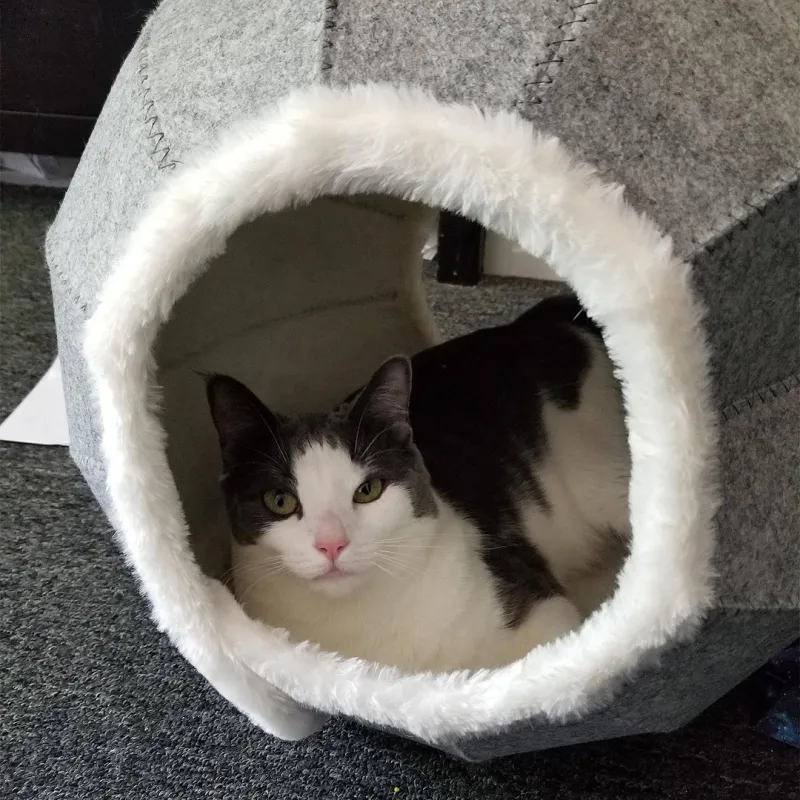 Bed / resting pillow for cats