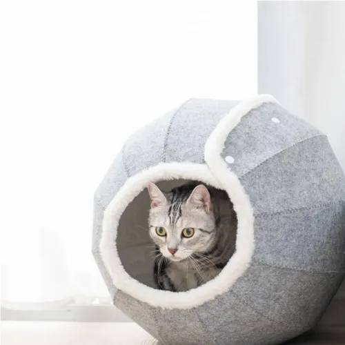 Κρεβάτι / μαξιλάρι ξεκούρασης για γάτες