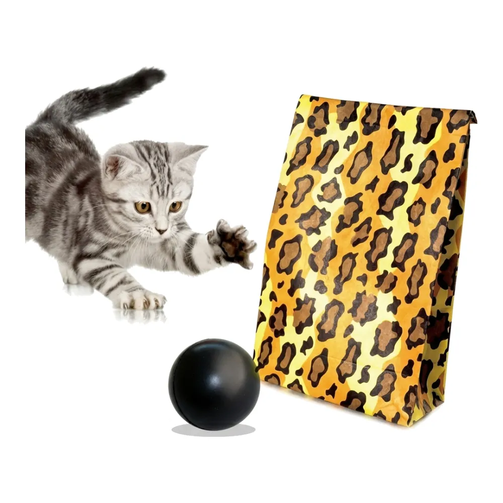 cat game "crazy ball"