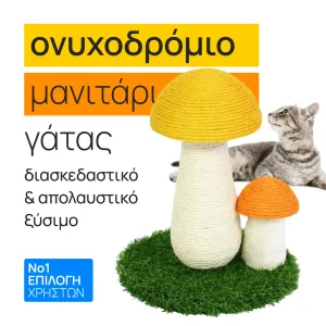 + Surprise product  + 5.90€ 