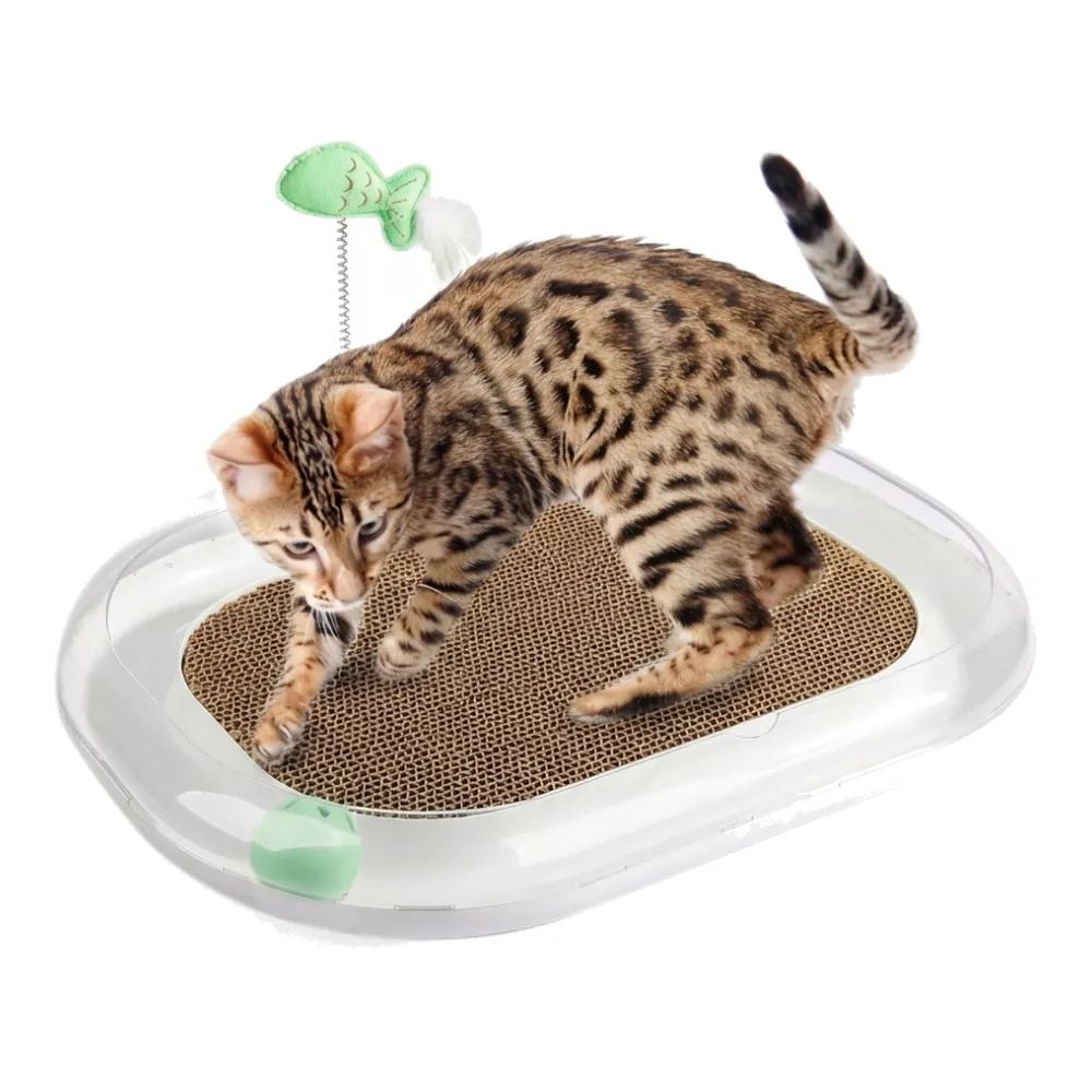 cat scratcher and cat walkway