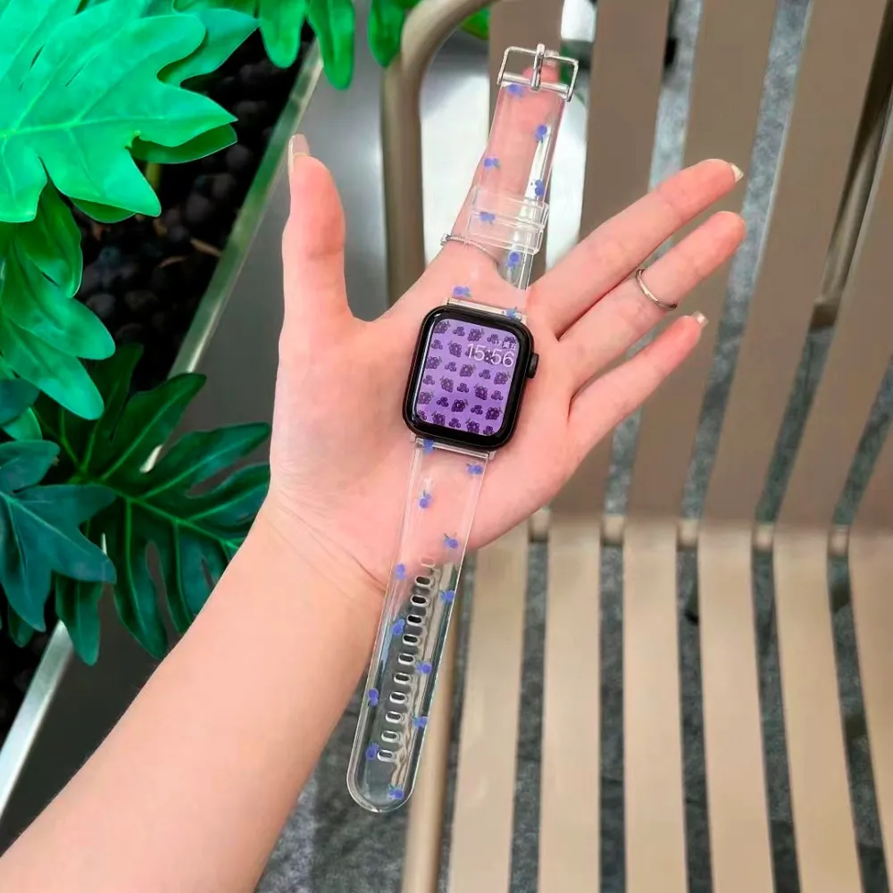 SILICON LOUIS transparent 38/42mm