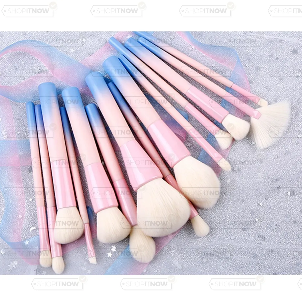 set of 14 make-up brushes