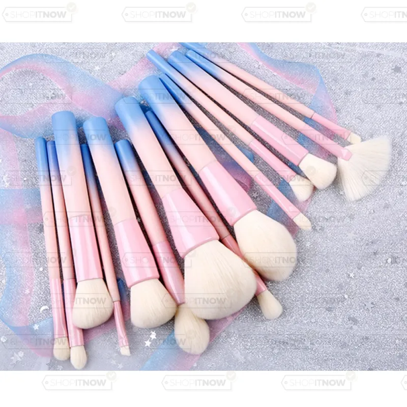 set of 14 make-up brushes